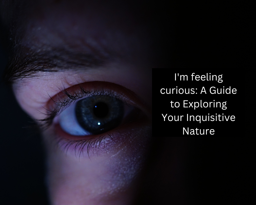 I'm feeling curious: A Guide to Exploring Your Inquisitive Nature