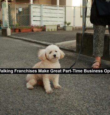 Dog Walking Franchises