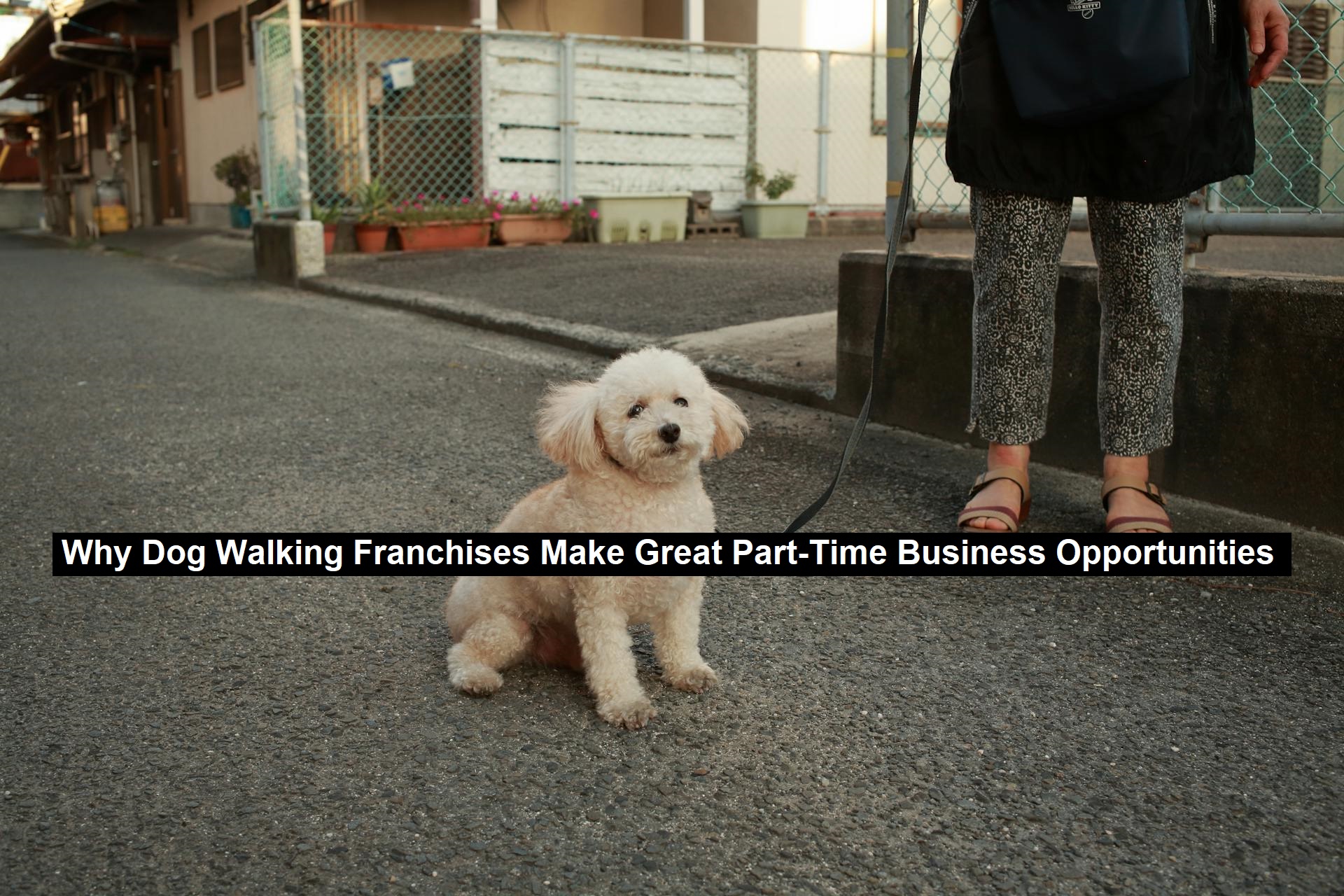 Dog Walking Franchises